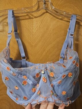 Adore Me Blue Mesh Bralette with Orange Fruit Embroidery